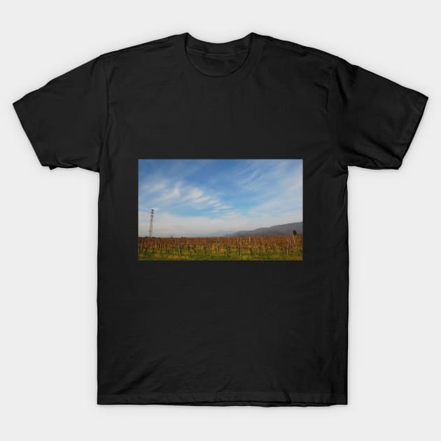 Autumn Landscape in Friuli T-Shirt by jojobob